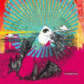 The Appleseed Cast - Sagarmatha