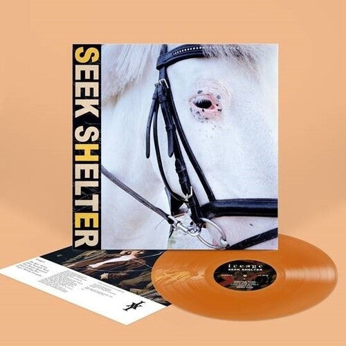 Iceage - Seek Shelter