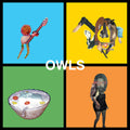 Owls - Owls