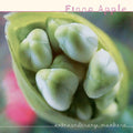 Apple, Fiona - Extraordinary Machine (180g)