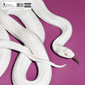 Deftones - private music (IEX, Fog White, Booklet, Alternate Cover)