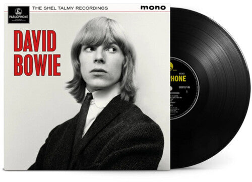 Bowie, David - The Shel Talmy Recordings (180g)