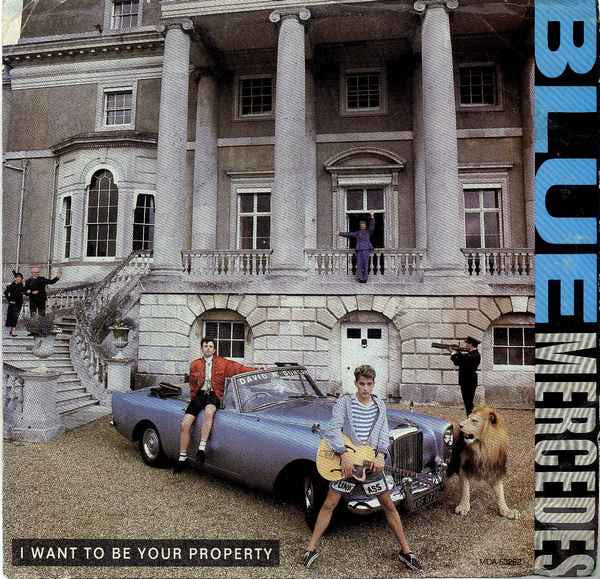 Blue Mercedes - I Want To Be Your Property (1988, 7")