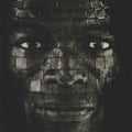 Seal - System (2007, CD)