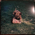 Joyce Manor - Cody