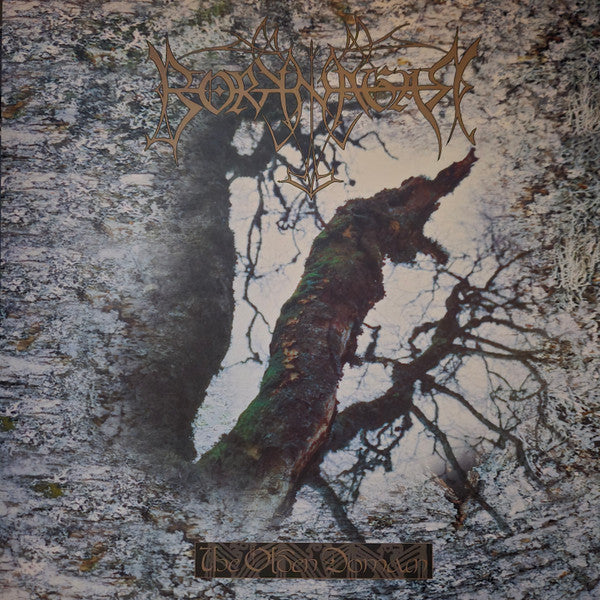 Borknagar - The Olden Domain